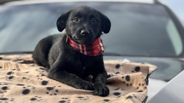 580124738_122219981684122691_5453861060882710884_n