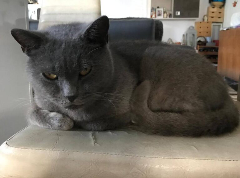 581679753_25037085255943871_5407143217571947598_n