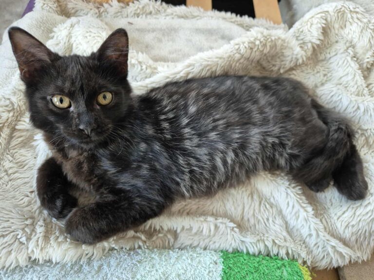 581922957_25697035553236866_7017130493328593881_n