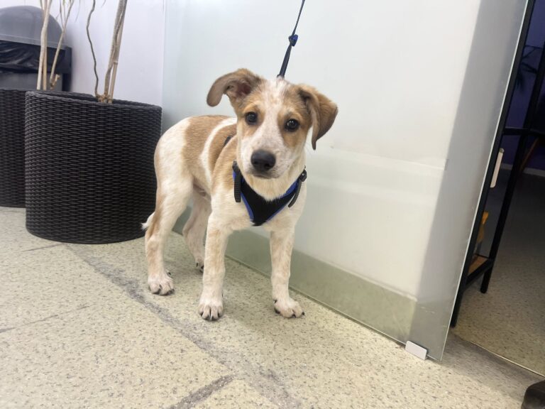 582065309_10161284197617581_1559244177213239640_n