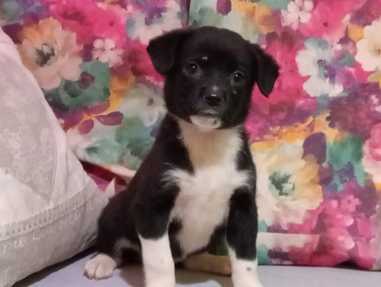 582308434_122220044732122691_2374186337987811548_n