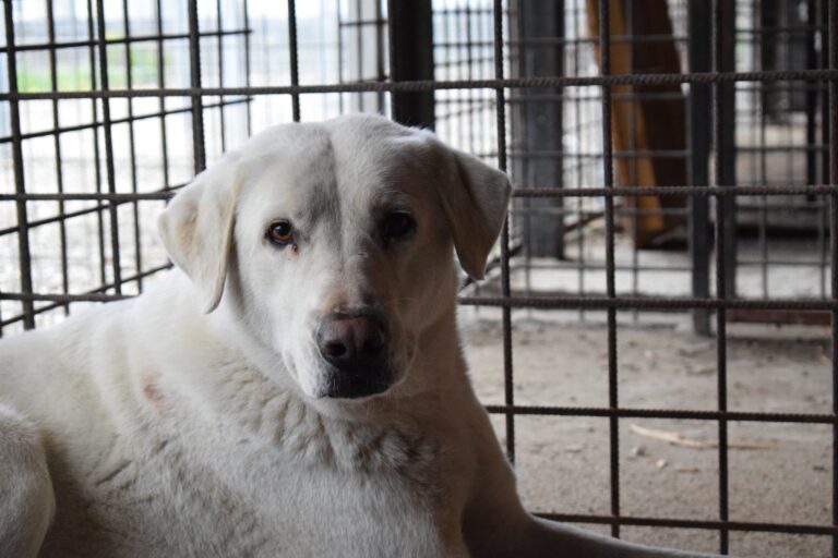 582533552_4118060258443778_2501206181512720630_n