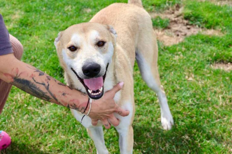 583040070_3270724756426028_4772586694517009319_n_1_11zon