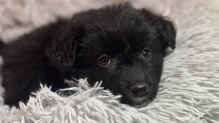 583247219_122220042920122691_7448959669194320430_n