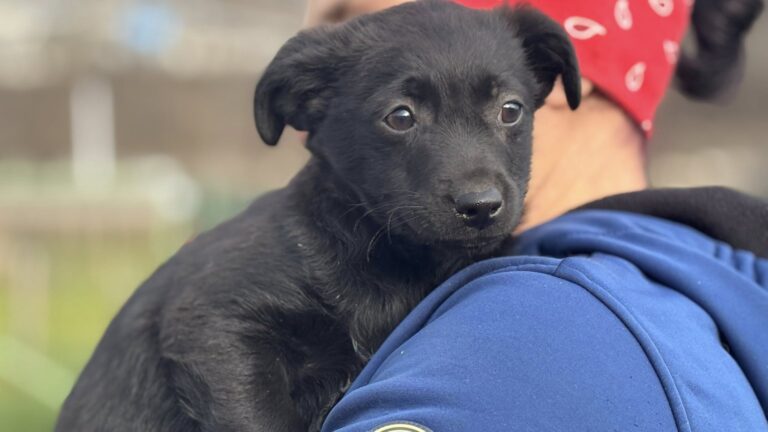 583304842_122219984420122691_63245917434578700_n