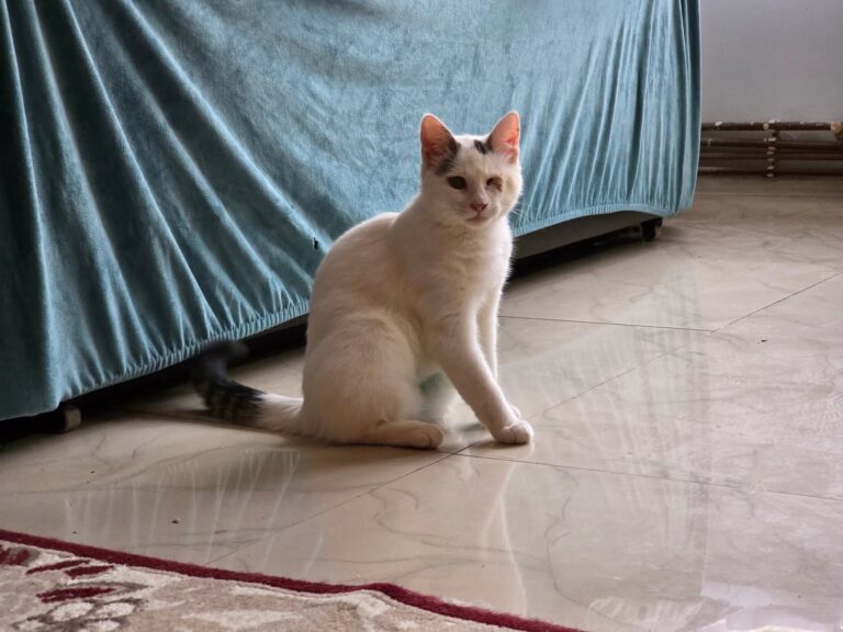 583324014_25037360185916378_1205676531225691394_n