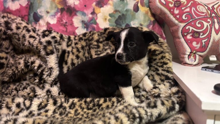 583420192_122220038948122691_7946225931287495804_n