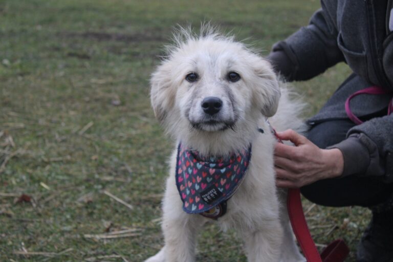 583751915_25102533729439045_5327851551477887999_n