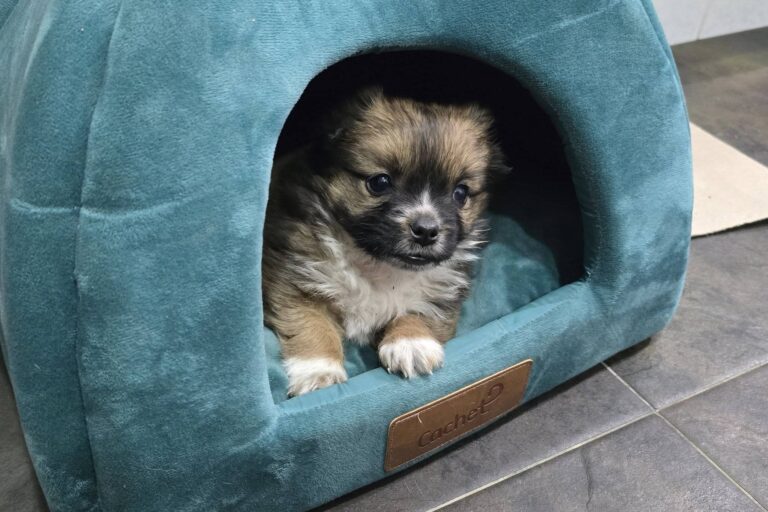 584553566_3320641854764767_2520629267683645045_n