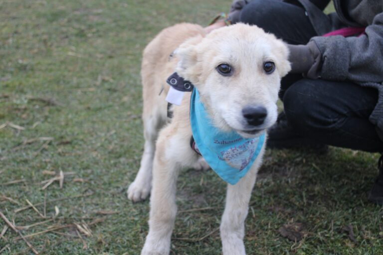 584592745_25102578572767894_5986801924921592736_n