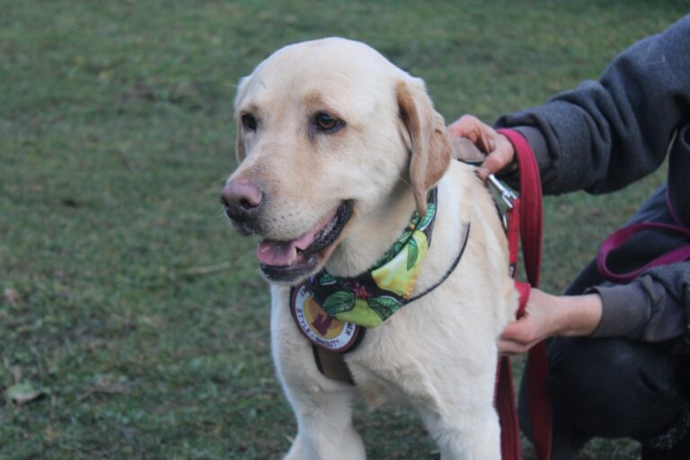 585188775_25102418576117227_3260919259663034996_n