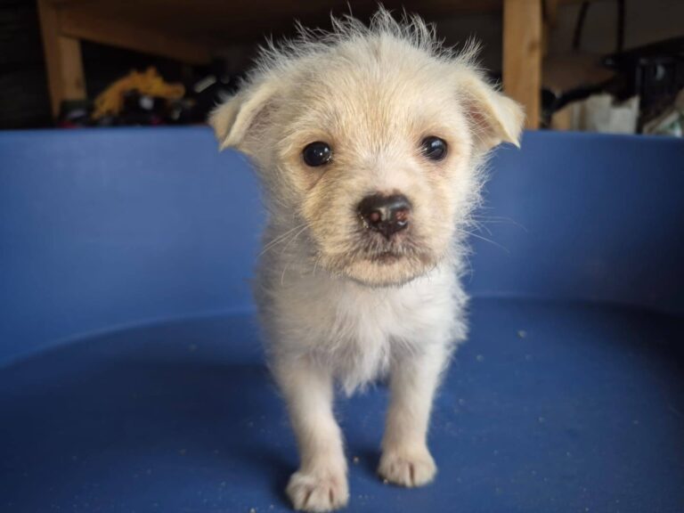 585190897_24963963013273940_9096886962266338428_n