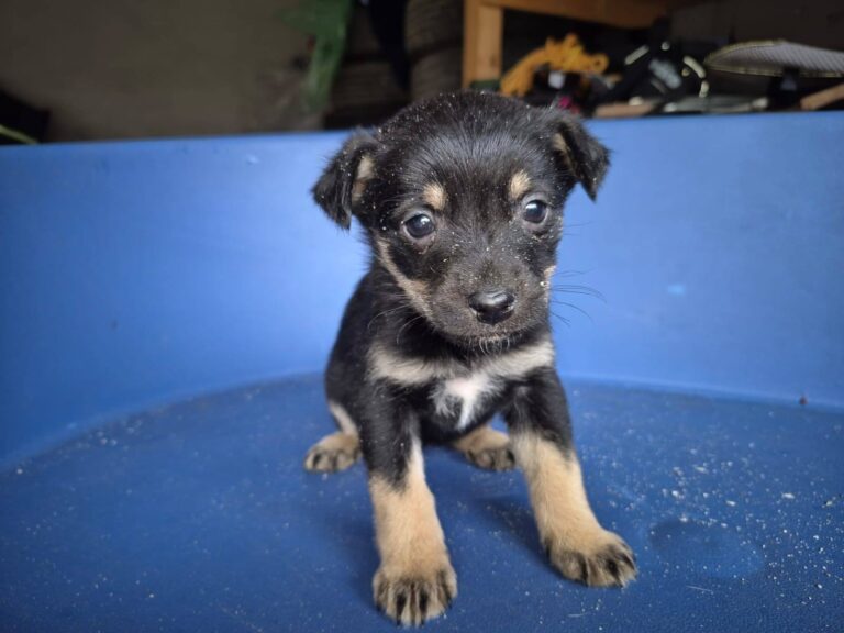 585205877_24963945829942325_3444113644455151666_n