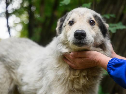 585361127_24966703559666552_6172103120715714275_n