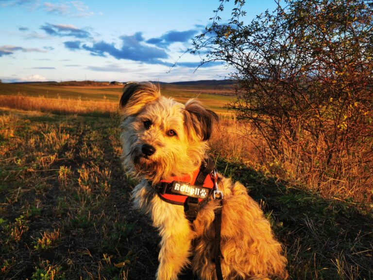 586166341_10240312392811349_2145831818133021081_n