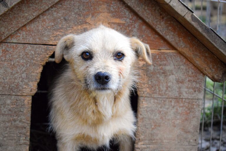 587834880_4126633467586457_826320558031995614_n