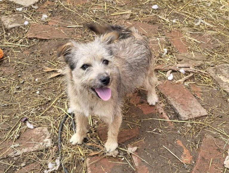 587996256_24371325869209465_8708378130794502018_n