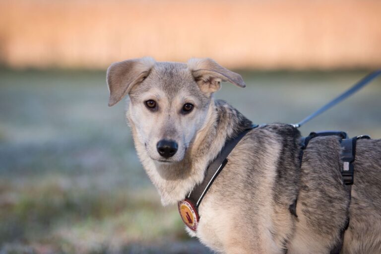 58e2bdcd-4fdc-4905-a9eb-7af161ab73b0