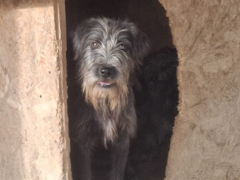 590698723_2833832780139224_2068051541710662158_n