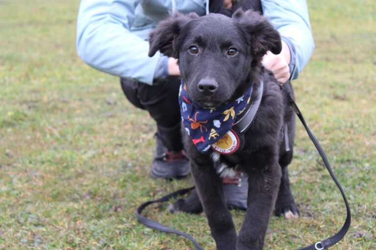 592446586_25210330281992722_8943092754733986059_n