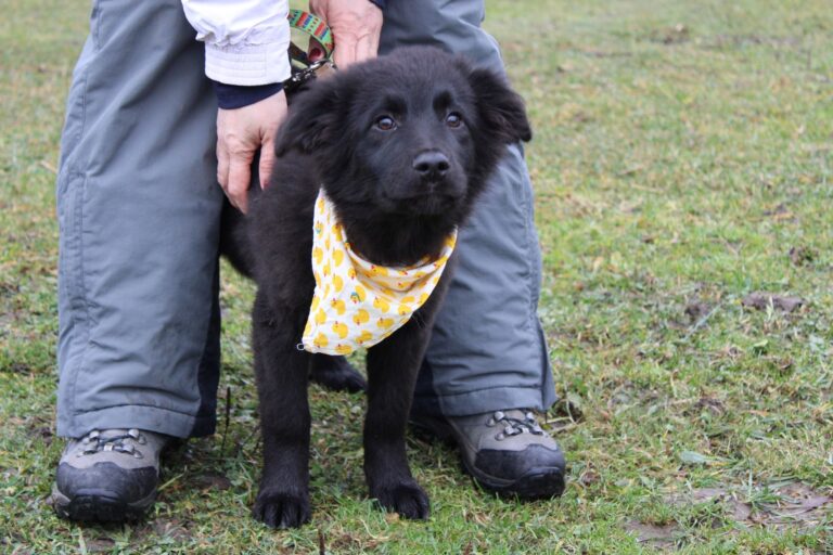 593549131_25210310148661402_6745860819365196426_n