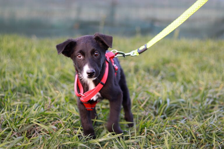 594548643_3193349457509835_1244394038017503185_n