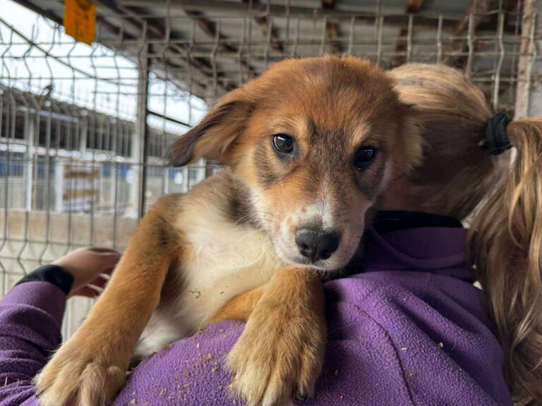 595642030_26152224734364509_5693179368007921318_n