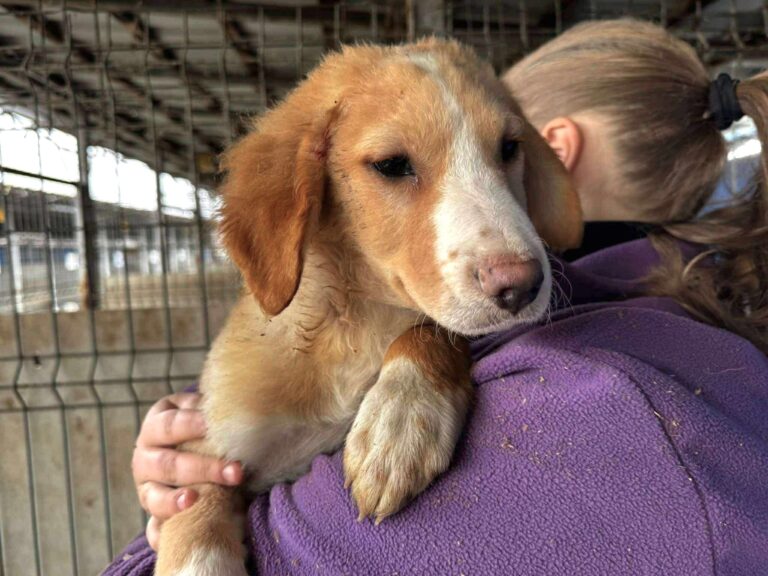 595685531_26151881141065535_5746764594260811461_n