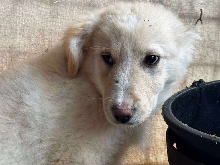 596396003_26151895347730781_4829374221445603924_n