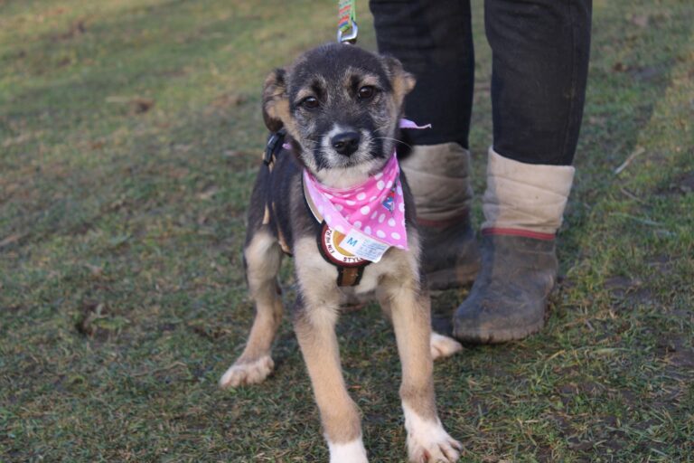 596803610_25278679691824447_4427499668213209878_n