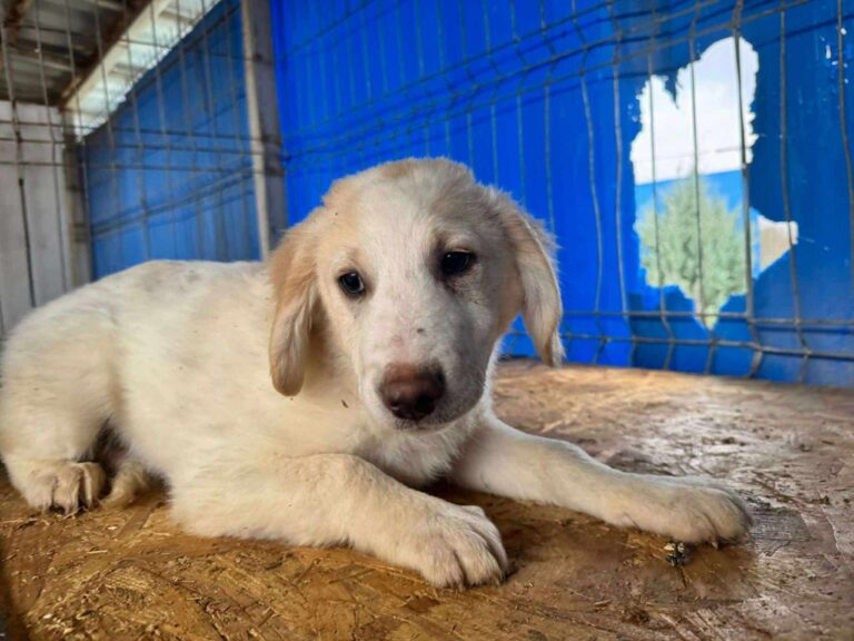 597900866_26151900831063566_4411675134538085099_n