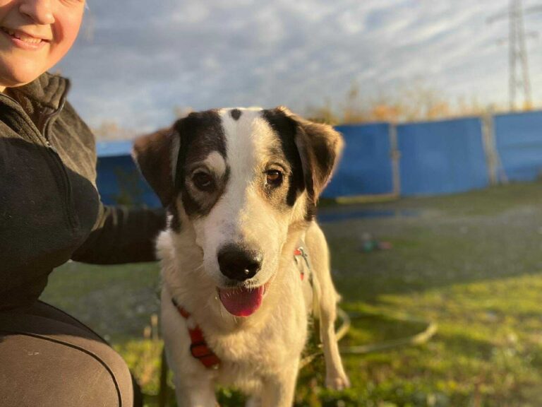 5a1084bfb57f76c84948c59632077b9e