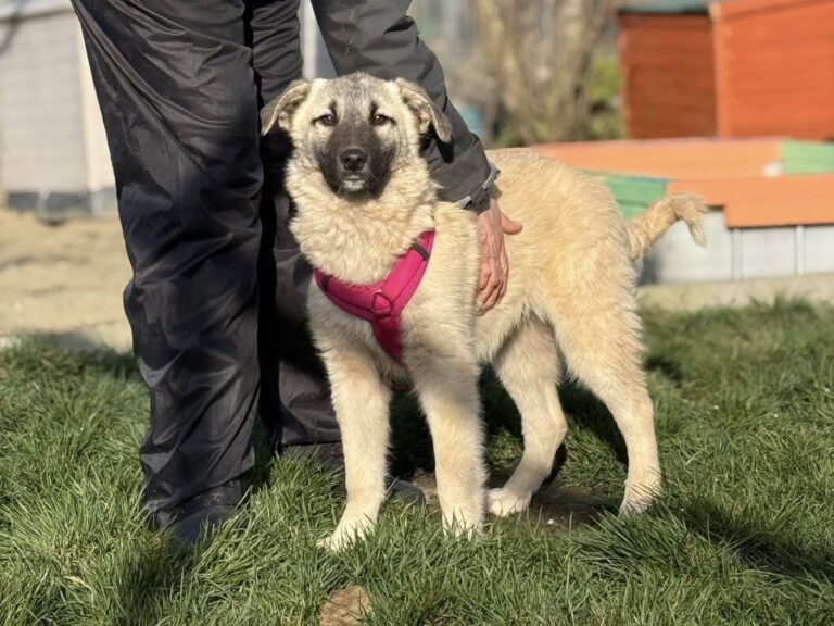 600290141_2582687108768888_1807508384806928051_n