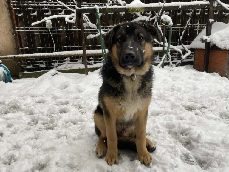 609692272_1170861075032874_1889021652317303798_n