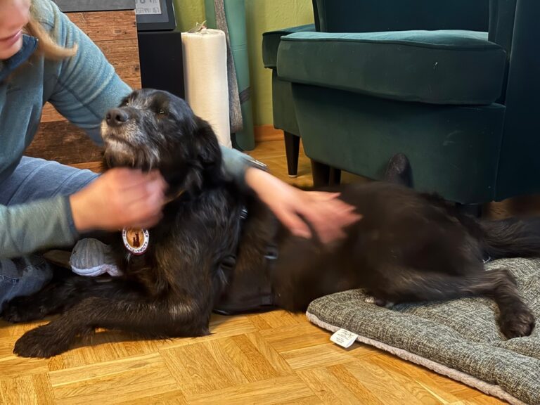 63596ede-b2f8-491f-af4c-74362bb1ba71