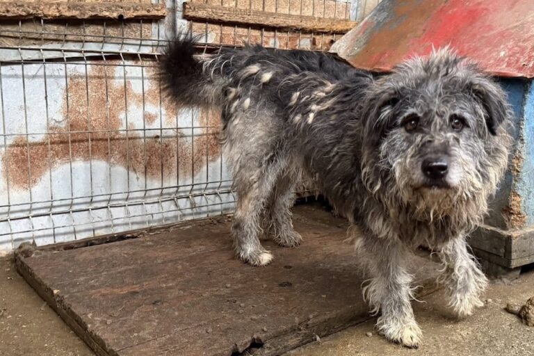 645435083_1259870786102402_7559579512447477019_n