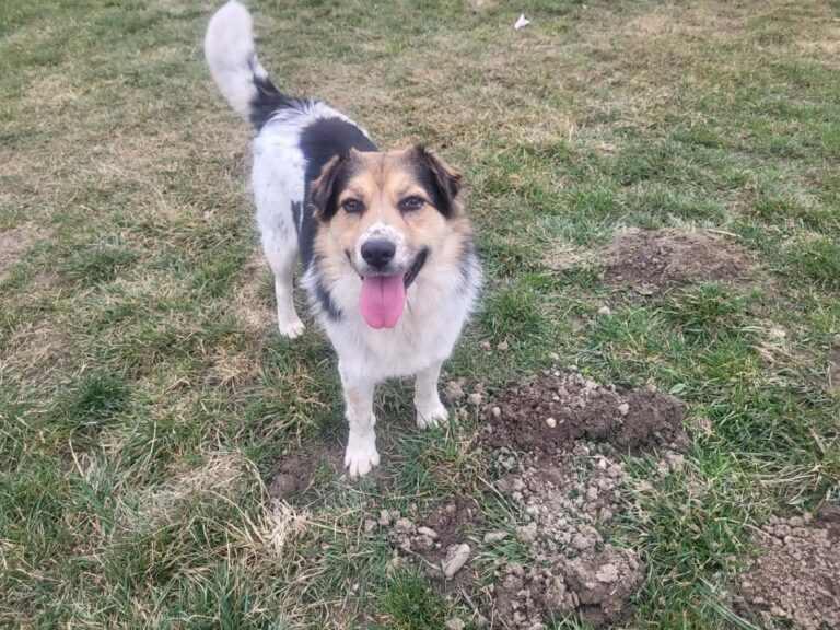 66cd50c4-7661-4ba5-97c4-fac623d02518