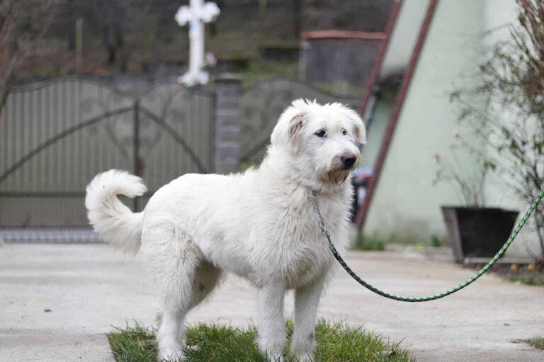 6bacf6f603f62975626625708e0045b5