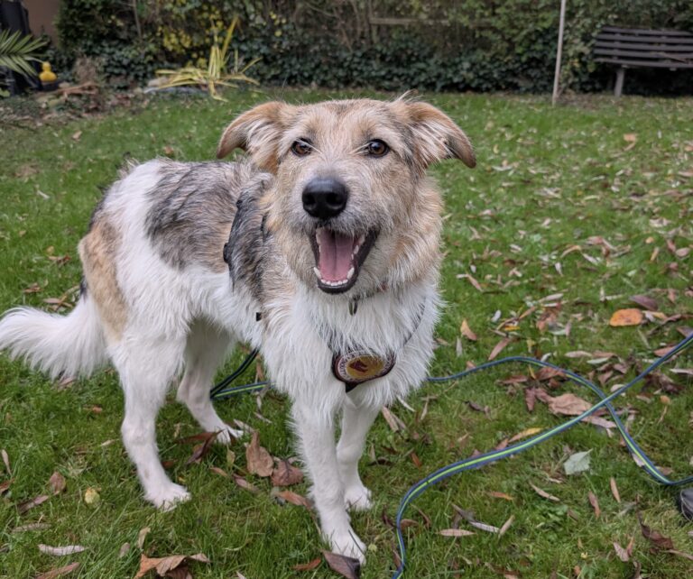 75f4e7ce-ad26-42f2-a82d-c0bd178ed319