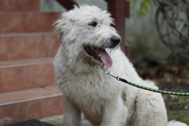 791cbd12d05081d0dea5cba6dc3b7ec2