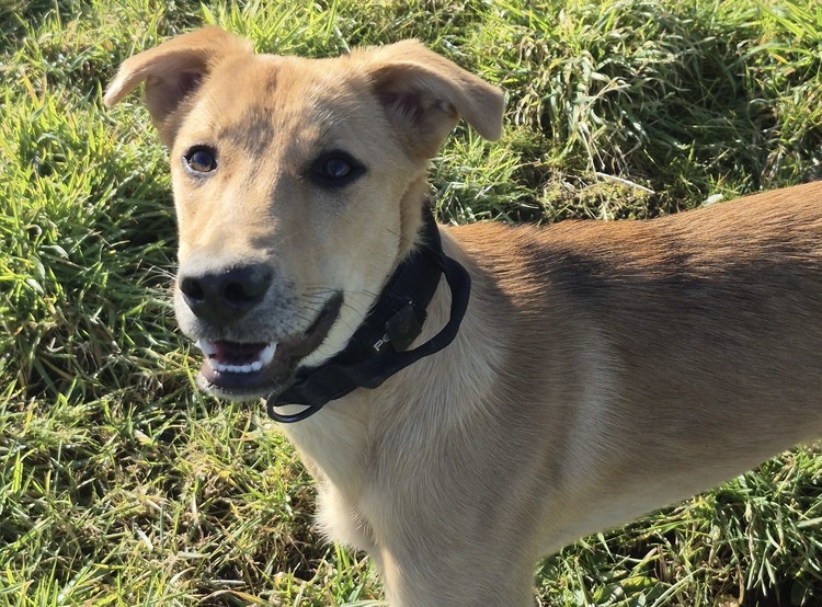 864dee77-f162-4a36-8728-3c310d4ba38d