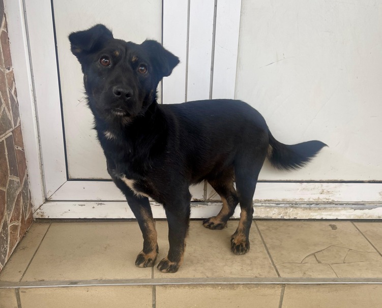 89f0bd70-09ba-48c9-be15-440c199a8c57