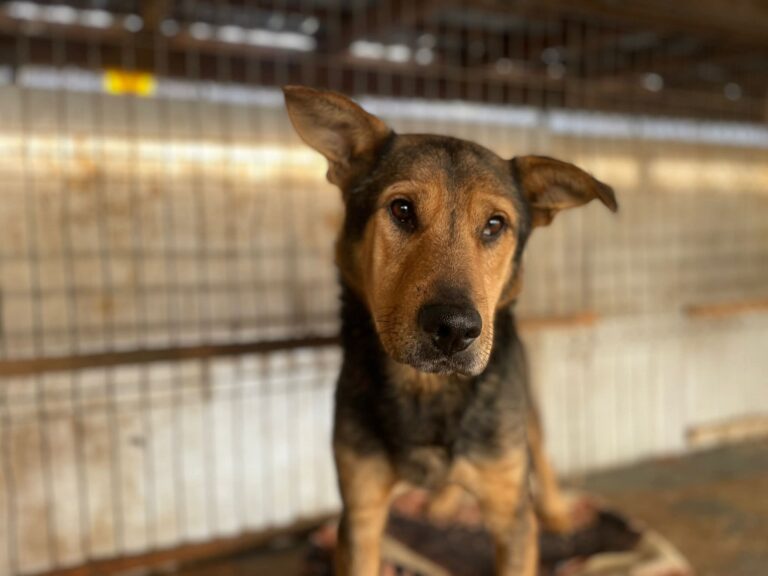 91117b656e5ae061a624045c127f5c12