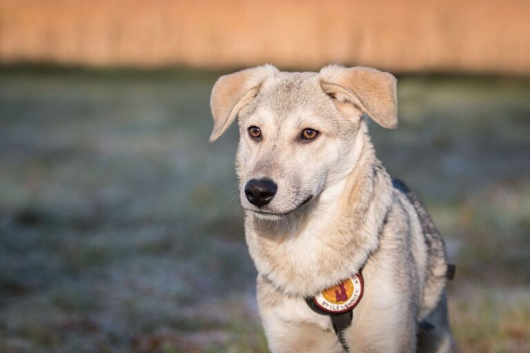 98c3a778-a8fb-4d7a-8b02-c793efd82781