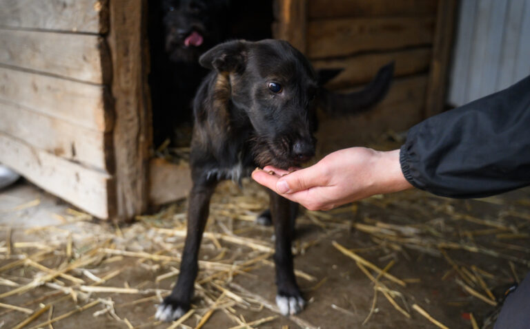 EHFS_DSC_5209_BlackGang_900x560