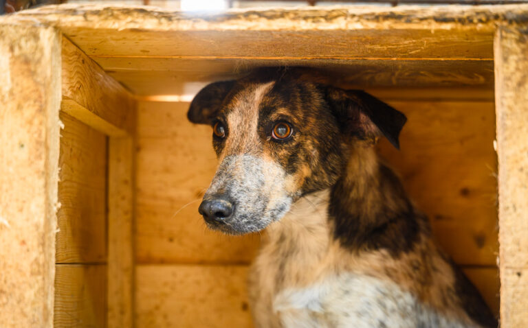 EHFS_DSC_9200_Angsti_Reihe_1_900x560