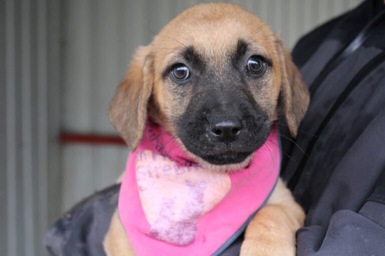 FB_IMG_1762072575732