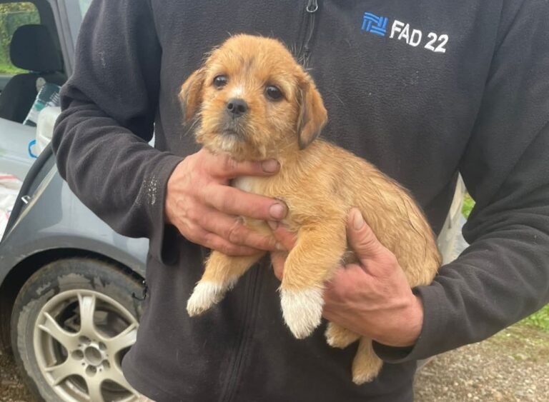 FB_IMG_1762245005835