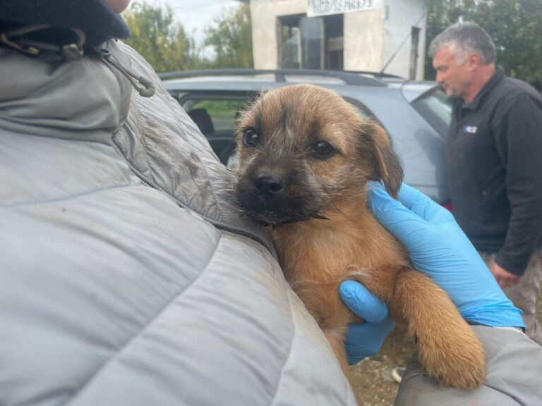 FB_IMG_1762245530155