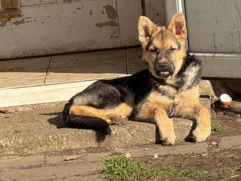 FB_IMG_1762779014241